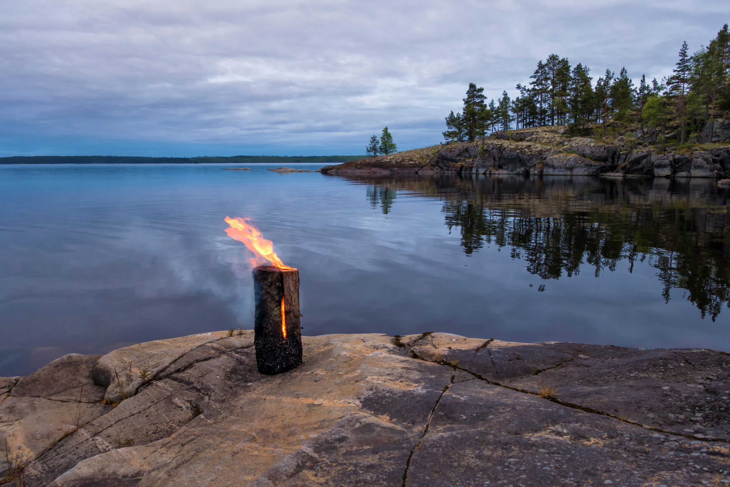 Jätkänkynttilä palaa kesäisellä kalliolla