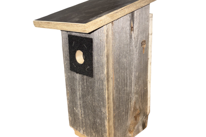 Linnunpönttö pihalinnuille