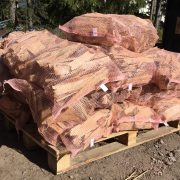 Koivusälä sytykepuu