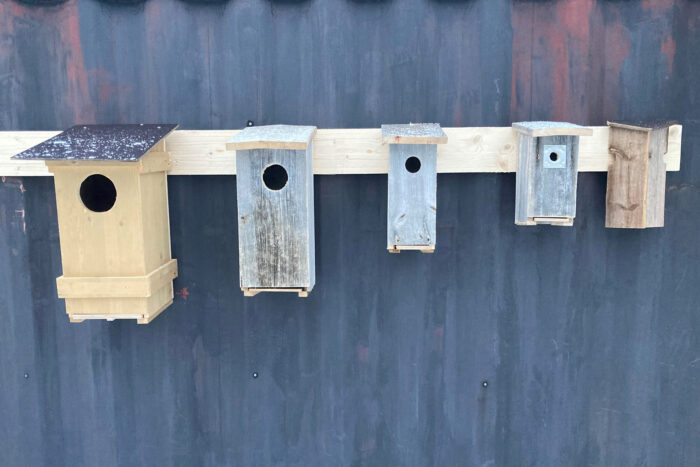 Linnunpöntöt ja lintulaudat