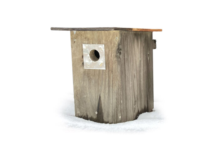 Linnunpönttö pikkulinnuille peltisuojalla
